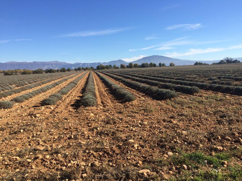 Lovely G Te With Private Pool Montagnac  Luaran gambar